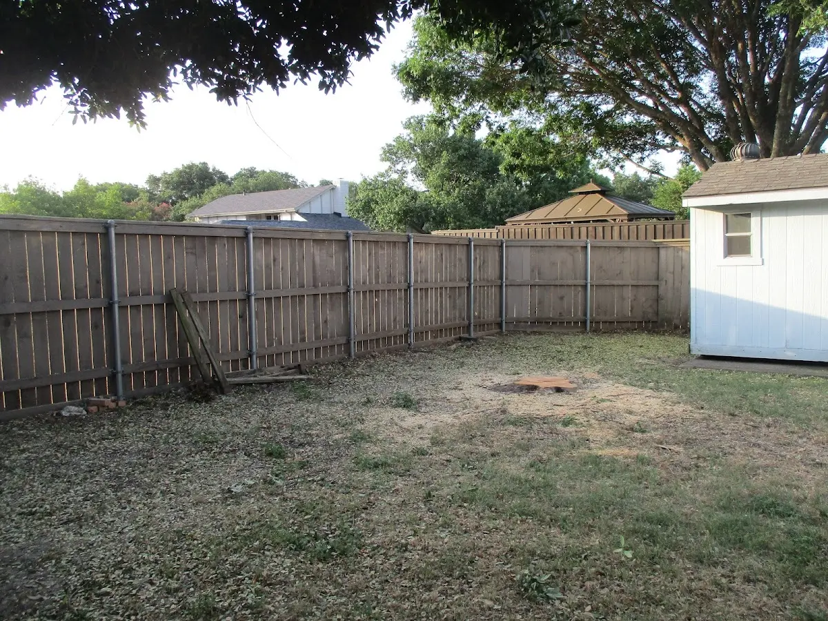 Cleared yard after professional tree removal in Strawberry